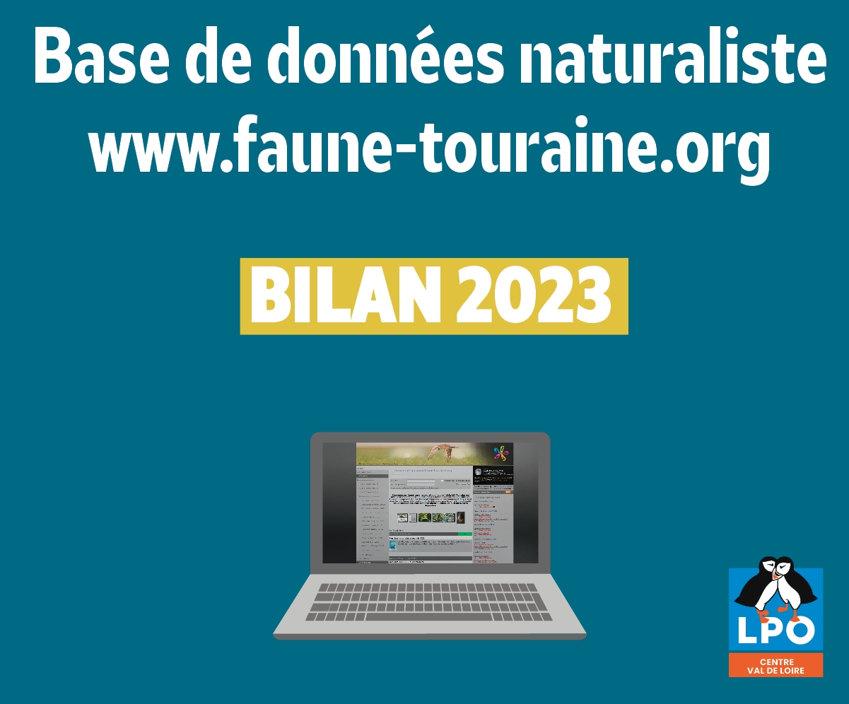 Rétrospective Faune-Touraine 2023 (37)